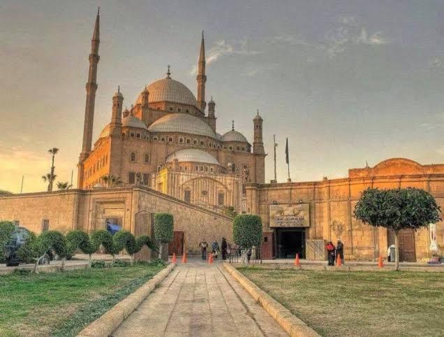 Calm New * Cairo